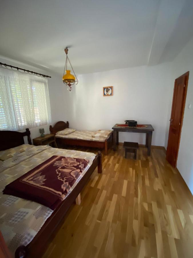 Guest House Radoman Virpazar Bagian luar foto