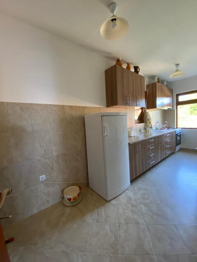 Guest House Radoman Virpazar Bagian luar foto